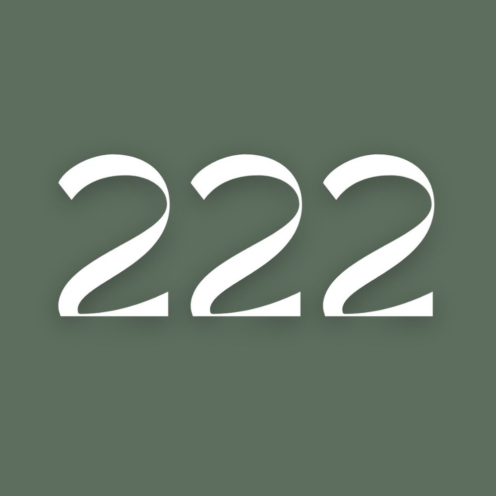 Meet your Posher, 222 Boutique.